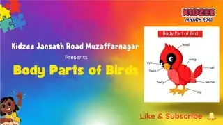 Body Parts of a Bird - Learning With Kidzee Jansath Road Muzaffarnagar । For Kindergarten Kids