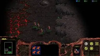 Starcraft - 8. Zerg 3. The New Dominion - falkynorr