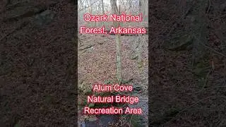 Hiking Trail #naturalbridge #ozarknationalforest #hikingtrails #winterhike #crunchingsounds #shorts