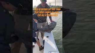 Fr #fishing #saltwaterfix #bassfishing #fish #saltlife #redfish #blackdrum #shorts #fyp