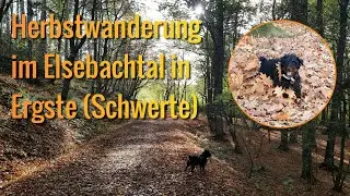 Wanderung im Elsebachtal in Ergste (Schwerte) | Wandern mit Hund | Marion & Neto