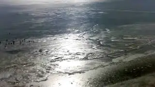 DRONE OVER ICE AND SEAGULLS MATTITUCK NY