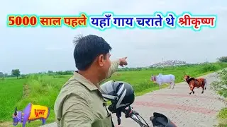 5000 साल पहले यहाँ गाय चराते थे श्रीकृष्ण | Here Lord Krishna used to call the cows