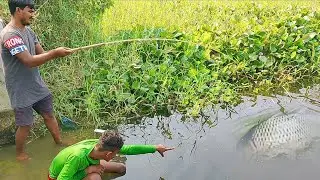 मछली पकड़ने का आसान तरीका.amazing fishing video.new fishing video 2022.best carp fishing technique.