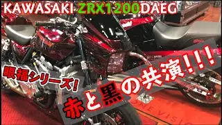 眼福シリーズ　KAWASAKI　ZRX1200DAEG　赤い衝撃！ド派手でありながらいやらしすぎない！？