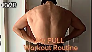 My Pull Workout Routine | OAP & FL