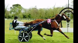 2021- 4 avril - HANNA D'AMOUR - Victoire avec autorit&eacute; sur les 2650m &agrave; Avignon