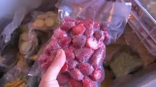 What is In Our Freezer? - Freezer Tour!