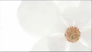 Antonio Vivaldi: Kyrie Eleison in G minor (RV 587)