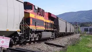 CPKC loaded grain going through Salmon Arm BC