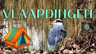 Relaxing Nature Walk in OranjePark, Vlaardingen | Bird Watching & Duck Pond [4K HLG HDR]