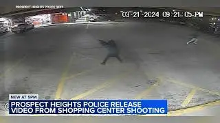 Suspects fire shots at Prospect Heights storefront