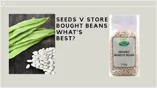 Shop Bought Beans V Bean Seeds