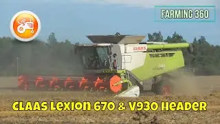 Harvest 2021 | Claas Lexion 670 combine with V930 header