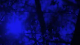 (Teaser) Mark Van Hoen - Electronic Music (1982 - 1987)