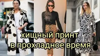 ХИЩНЫЙ ПРИНТ в прохладное время. 2021-2022#хищныйпринт#леопард#зебра#питон#тигр#корова#