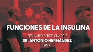 FUNCIONES DE LA INSULINA | Seminario Dr. Antonio Hernández Barcelona Parte 4