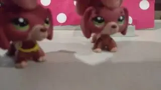 Lps random I Ft. Cupcake minions