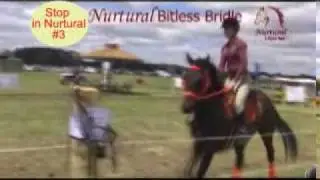 Will my horse stop in a Nurtural Bitless Bridle?