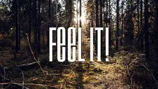 Phlanr - Fallen (Feel it!) - Copyright Free Music