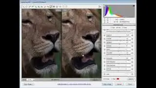 PPSOP Photoshop Tip - Using the Adjustment Brush