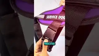 🐾✨El arn&eacute;s perfecto para tu perro 🐕: c&oacute;modo, elegante y seguro.