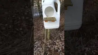 Krm&iacute;tko pro Veverky 🌰🐿️