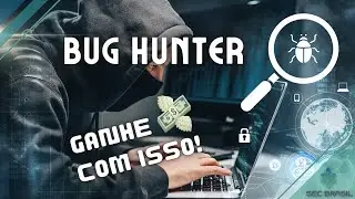 Bug Hunter, o que &eacute;?