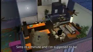 Sims 4 Burglar encounter