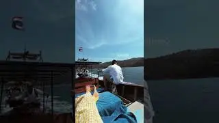 CHEPIKK Live 2026