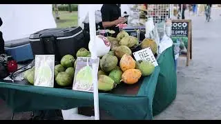 8 places where street and venue vendors can sell in Miami Beach Florida