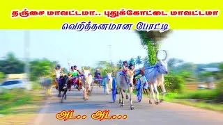 தட்டன்வயல்-நடு  மாடு | #thattanvayal #amuthamstudio #rekala_race | 18-02-2022