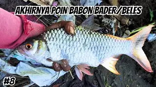 STRIKE BABON BELES / BADER MENGGUNAKAN UMPAN CACING DARAH !!!