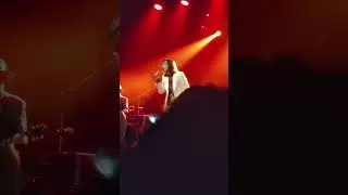 DAMAGED - Primal Scream @ Audio Club, Sao Paulo, Brazil 11.11.2025 #concert #rocknroll