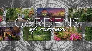 Gardens of renown | Ps Bryan Coetzee | 31 August 2025