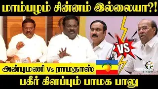மாம்பழம் சின்னம் இல்லையா?! | PMK Lawyer Balu Pressmeet | Ramadoss | Anbumani | Election Commission