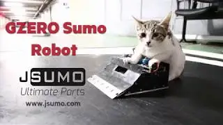 Gzero Sumo Robot Kit from JSumo // Sumo Robot Test on Dohyo