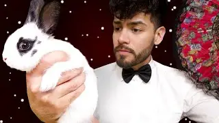 ASMR - Rude Masseur Bunny Spa (Sassy Male Whisper)