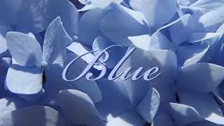 LAVANDER &mdash; Blue