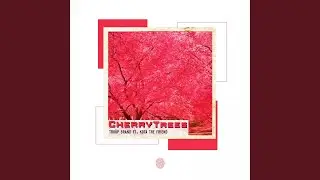 Cherry Trees (feat. Kota the Friend)