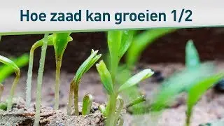 De gelijkenis van de zaaier 1/2 (20 december 2015) &ndash; Bayless Conley