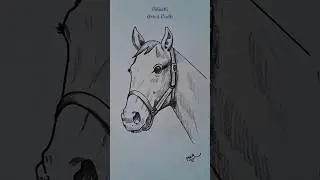 How to Draw Horse Head #shorts #ytshorts #youtubeshorts #shortsvideo #trending #viral #with #pencil