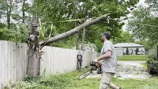 Tree trimming idea: Good Idea or Giant Failure???