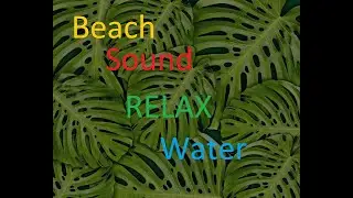 Sound-Beach noise, Miami, Florida, relax, sleep, rest, harmony