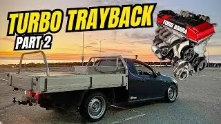 Тревор Трейбэк - Часть 2 - Это наконец-то происходит! Получайте ежедневную поддержку!