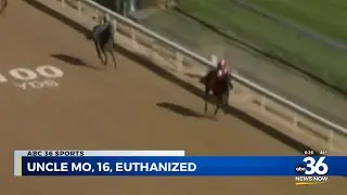 Uncle Mo euthanized at 16-years-old after injury