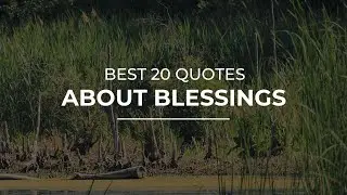 Best 20 Quotes about Blessings | Amazing Quotes | Quotes for Pictures