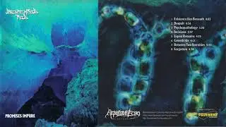 Demented Ted | US | 1993 | Promises Impure | Full Rare Metal Album | Death Metal | Thrash Metal
