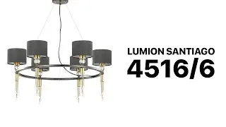 Подвесная люстра с чёрными плафонами Lumion Santiago 4516/6