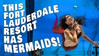 A Hotel Shaped Like a Cruise Ship … with Mermaids?! | Fort Lauderdale